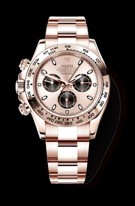 rolex libretto daytona 6263 del 1984|rolex daytona oro rosa prezzo.